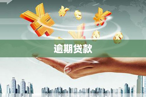 文峰逾期贷款