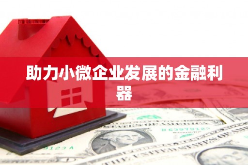 文峰助力小微企业发展的金融利器