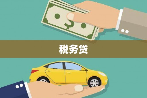 文峰税务贷